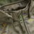 CELAVI kombinesoon , Softshell, 330631-8017, 98 cm 