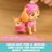 PAW PATROL figuur Skye's World Animal Rescue, assortii., 6076383 