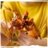 71814 LEGO® NINJAGO® Turniir Templi linn 