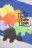 COCCODRILLO t-shirt DIGITAL BOY KIDS, multicoloured, ZC4143101DBK-022-122, 122 cm 