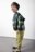 COCCODRILLO püksid ACADEMY BOY KIDS, roheline, cm 