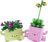 11506 LEGO® Botanicals Kiikuvad taimed 