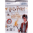 JADA Harry Potteri pimepakk mini figuur, assortii, 253181001 