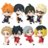 TWINCHEES võtmehoidja, Haikyu Defofig, assortii., M806506 