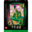 75685 LEGO® Wicked Emerald City seinakunst 