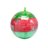COMPOUND KINGS lima Nichole Jacklyne Water Slime Watermelon, WC113121NJINT 