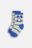 COCCODRILLO sokid SOCKS BOY, värviline, cm 