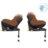 MAXI COSI turvatool PEARL 360 PRO, Terra, 61-105 cm., 8053491110 