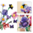 11507 LEGO® Botanicals ja LEGO® Editions: Olivia Rodrigo lillekimp 