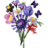 11507 LEGO® Botanicals ja LEGO® Editions: Olivia Rodrigo lillekimp 