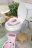 INGENUITY pissipott 2in1 My Size Potty Pro Summer, roosa, 17137 