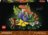 11505 LEGO® Botanicals Metsaseened 