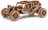 REVELL Buggy puidust mudel, 00610 