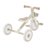 GLOBBER õppekolmerattaline Learning Trike 2in1 Plus, kookospähkli, 737-466 