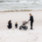 THULE jalutuskäru URBAN GLIDE 4-wheel, Dark Slate, 10101709 