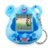CARE BEARS digitaalne lemmikloom Grumpy Bear, CB/KK1GB 