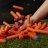 NERF N SERIES mängupüstol Infinity, F8631 