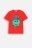 COCCODRILLO t-shirt EVERYDAY BOY A, punased, ZC4143206VBA-009-152, 152 cm 