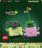 11506 LEGO® Botanicals Kiikuvad taimed 