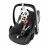 CANPOL BABIES sensoorne reisimobiil BabiesBoo, 68/091 68/091