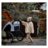 BABYTROLD käru ROADRUNNER 3in1,  Black/Grey, 14-08S 
