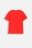 COCCODRILLO t-shirt EVERYDAY BOY A, punased, ZC4143206VBA-009-152, 152 cm 
