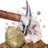 NATIONAL GEOGRAPHIC komplekt Break Your Own Geode, RTNGGEO5 