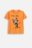 COCCODRILLO lühikeste varrukatega t-särk, oranžid, WC6143216VBB-006-128, 128 suurus 