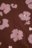 COCCODRILLO t-särgid CRAFT PUNK GIRL KIDS, pruun, ZC5143103CGK-018-122, 122 cm 