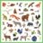 DJECO kleepsukomplekt Fauna (160 tk), DJ09285