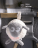 SWEET DREAMERS kaisukas heli ja valgusega Deluxe Grey 5060216820194
